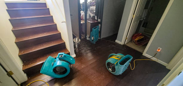 Best Local water damage restoration  in USA